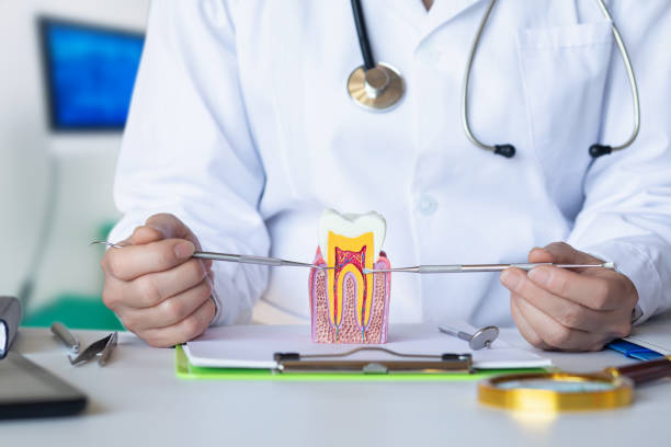 Best Broken or Cracked Tooth Emergency Dentist in Corralitos, CA